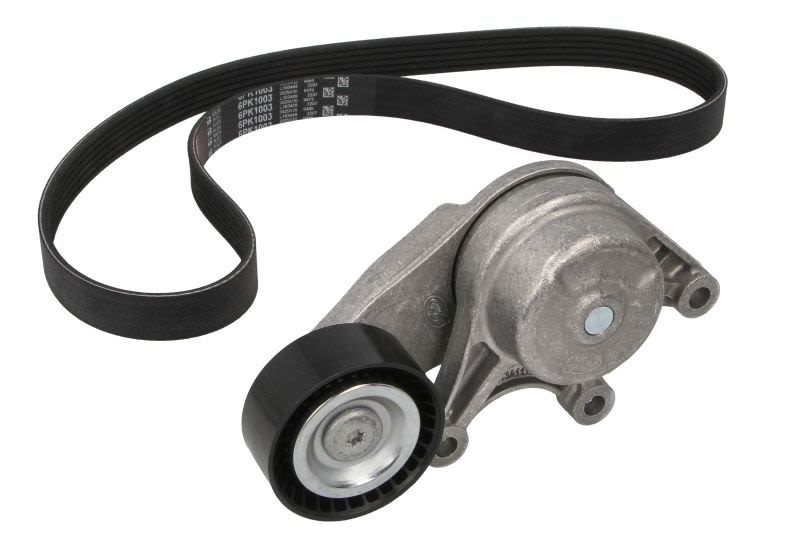 Juego de correa multinervada GATES K016PK1003 para BMW Serie 1 (F20) 2011-2019