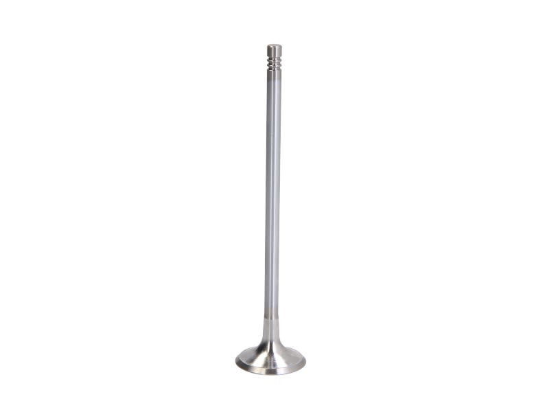 Válvula de escape FRECCIA R6704/BMARCR para Ford Transit