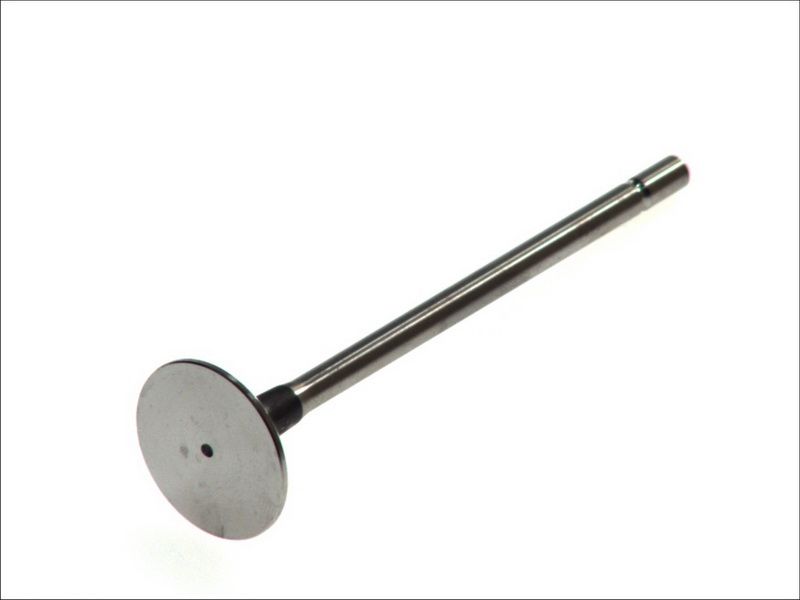 Válvula de escape FRECCIA R6139/R para Renault Clio II