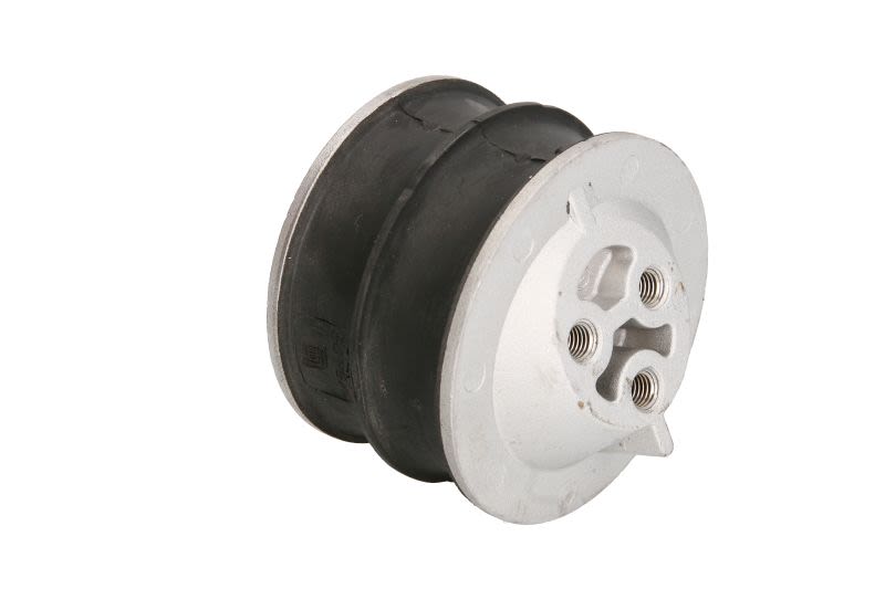 Soporte de motor LEMA
