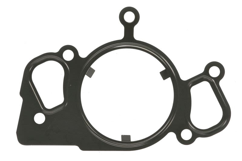 Empaquetadura de bomba de agua ELRING 929.350 para Land Rover Discovery III