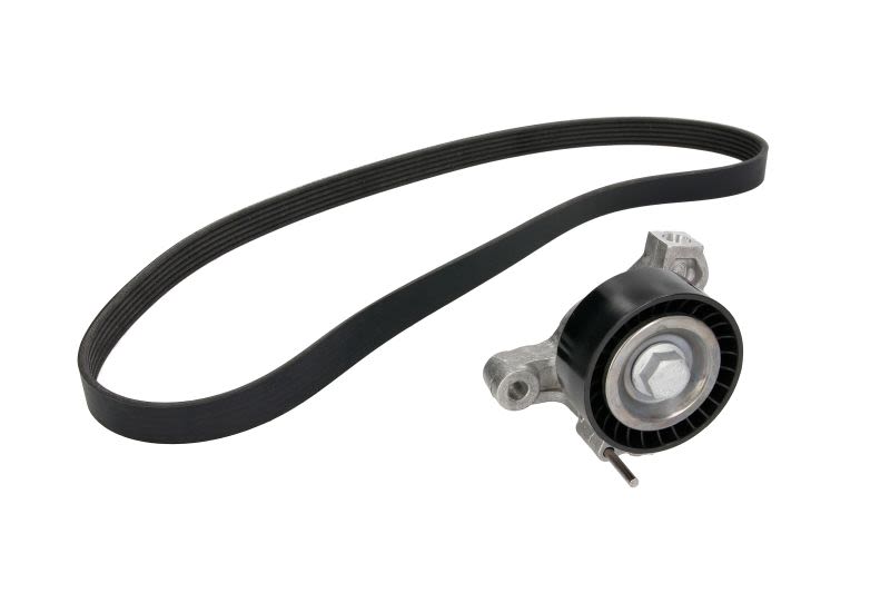 Juego de correa multinervada INA 529 0235 10 para Volkswagen Polo V