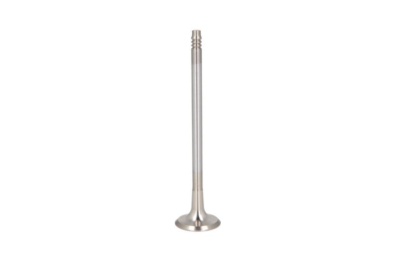 Válvula de escape FRECCIA R6856/BMARCR