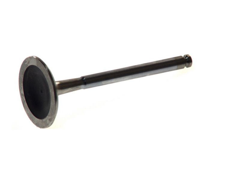 Válvula de admisión FRECCIA R4174/RCR para Fiat Tipo