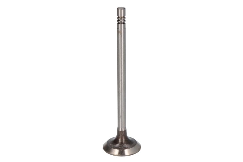 Válvula de admisión AE V95001 para Renault Alaskan