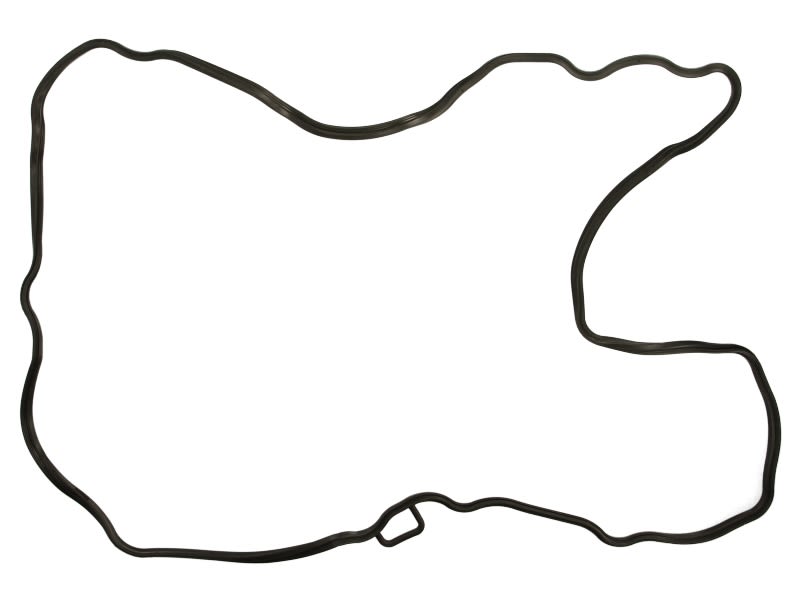 Empaquetadura, tapa de culata REINZ 71-39074-00 para Volvo B9