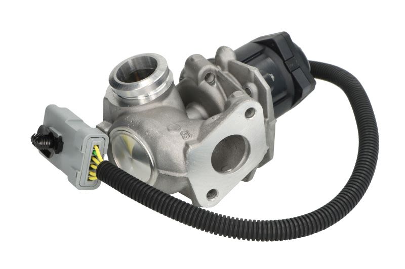Válvula EGR PIERBURG 7.24809.91.0 para Ford Focus II