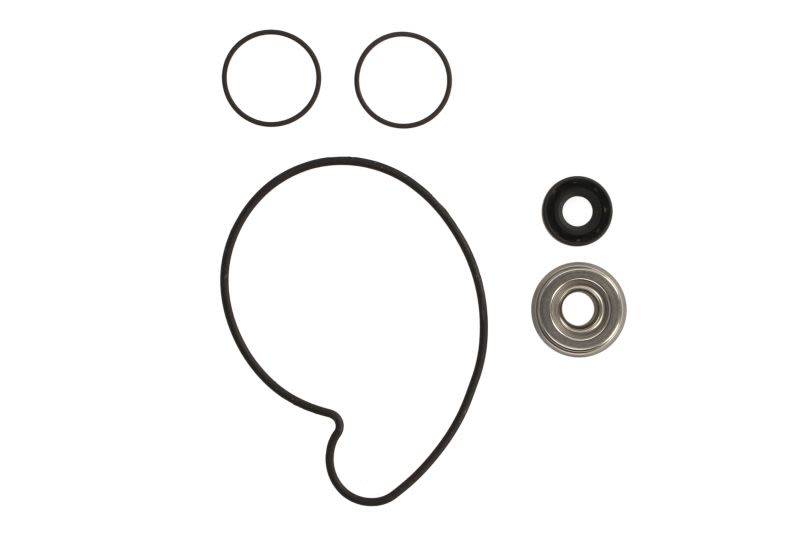 Kit de reparación para bomba de agua WINDEROSA W821001 para Polaris RZR