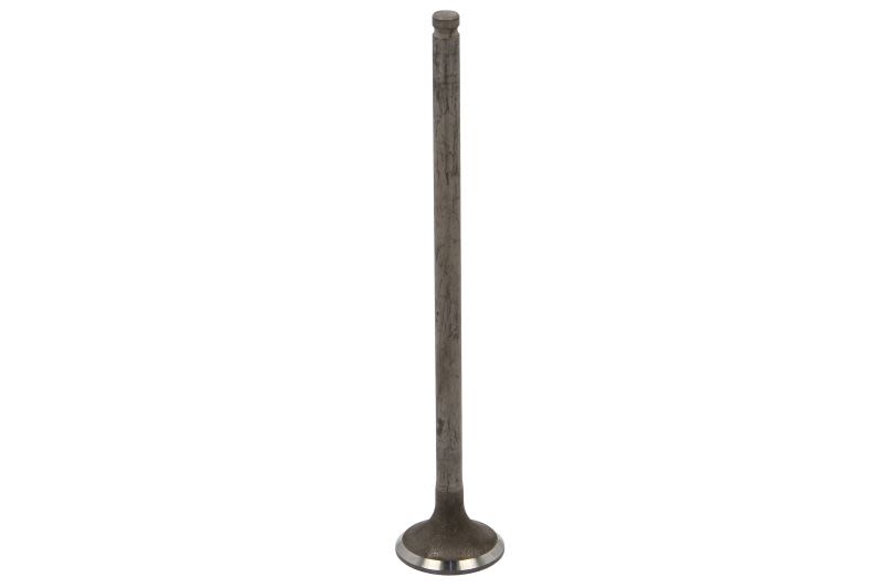 Válvula de escape FRECCIA R6802/RNT para Honda City V
