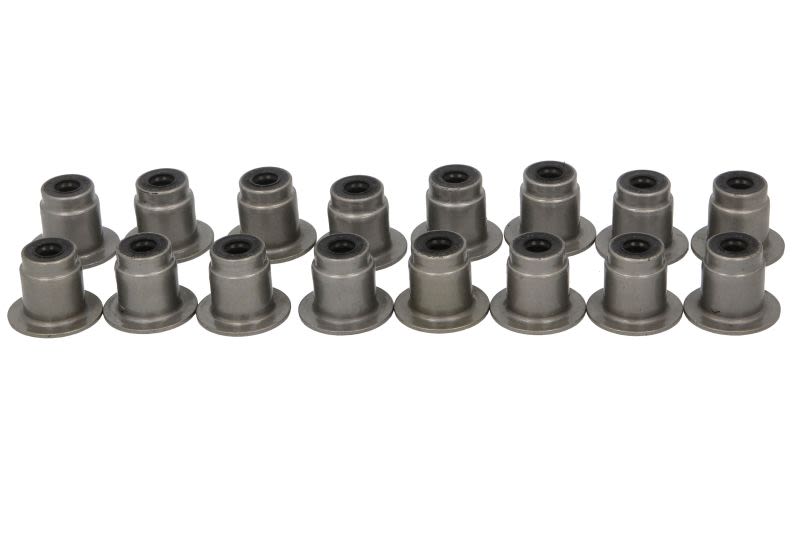 Juego de retenes de vástago de válvula REINZ 12-13246-01 para Jaguar XE