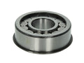 Rodamiento de agujas, viga de eje DT SPARE PARTS