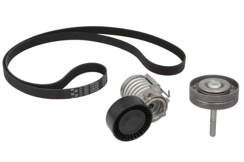 Juego de correa multinervada GATES K076PK1873 para Skoda Fabia I