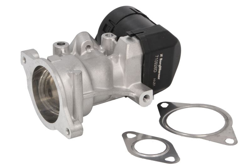 Válvula EGR BORG WARNER 710926D para Citroen C4