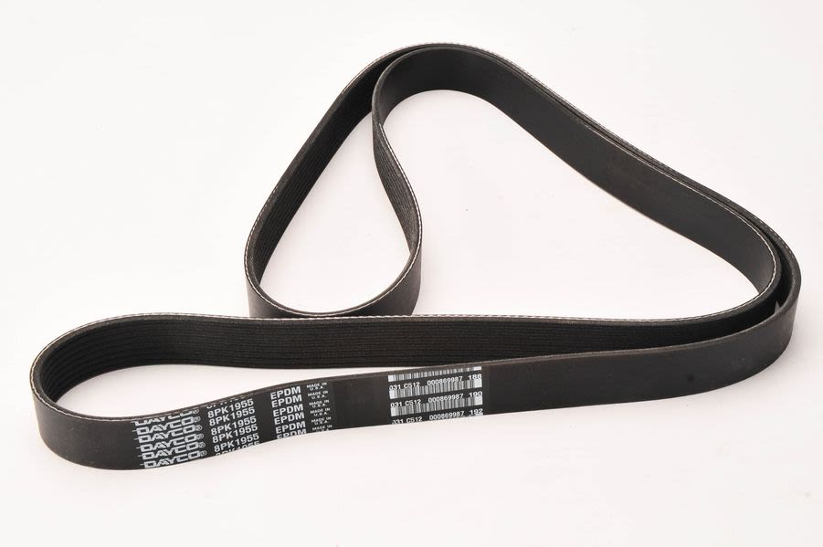 Correa multinervada DAYCO 8PK1955HD para Mercedes-Benz Vario (B667, B670, B668) 1996-