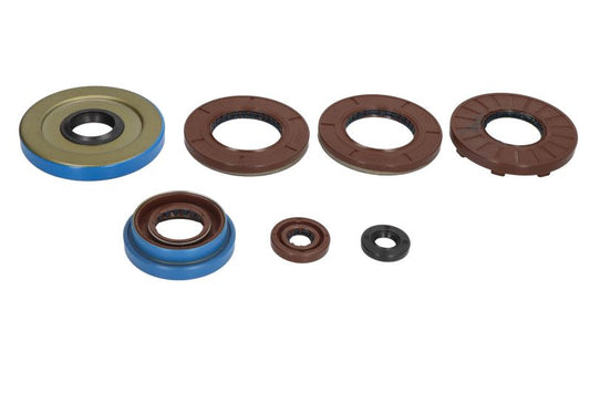 Juego de retenes de motor WINDEROSA W822375 para Polaris ACE