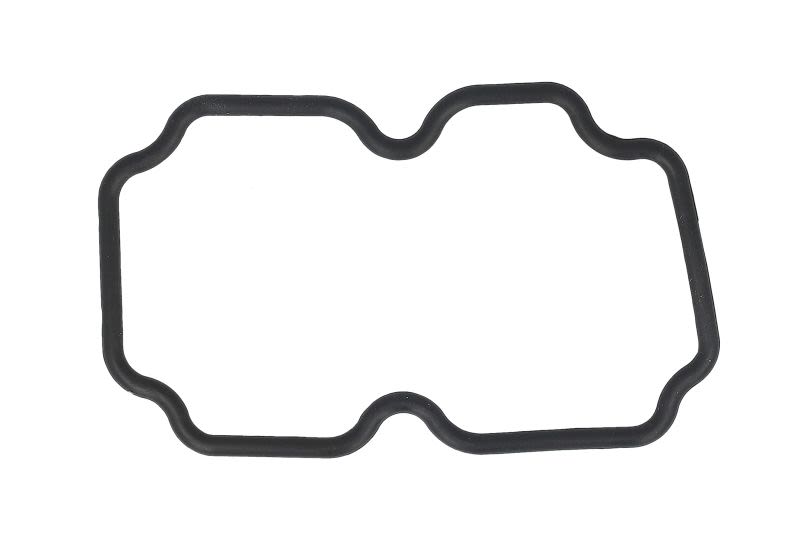 Empaquetadura de brida de refrigerante ELRING 559.100 para Scania K I