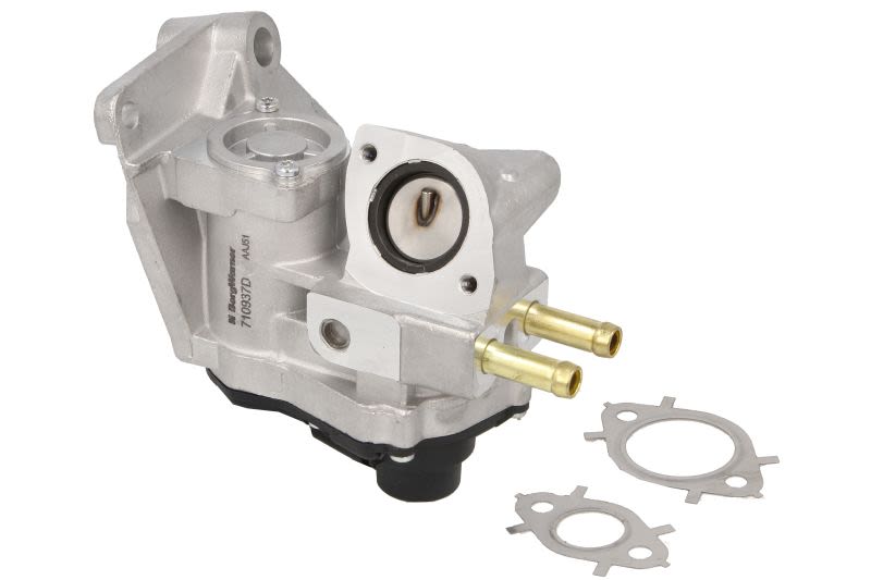 Válvula EGR BORG WARNER 710937D para Volkswagen Golf V