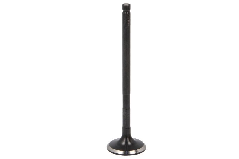 Válvula de escape NE 148021000100 para Ford Focus II