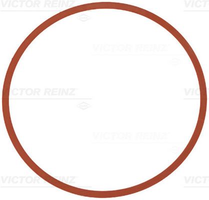 Empaquetadura de múltiple de admisión REINZ 71-11403-00 para BMW Serie 1 (F20) 2011-2019