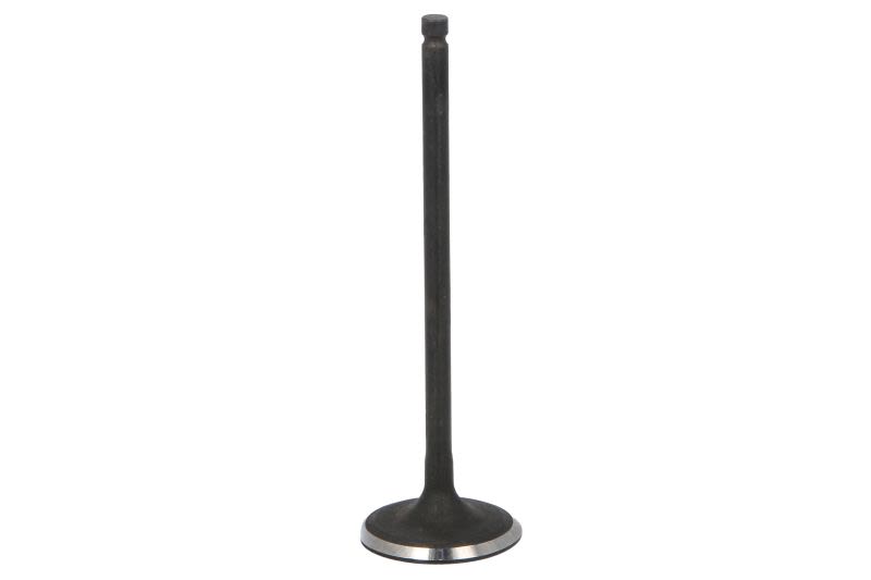 Válvula de admisión FRECCIA R6966/SNT para Renault Clio V