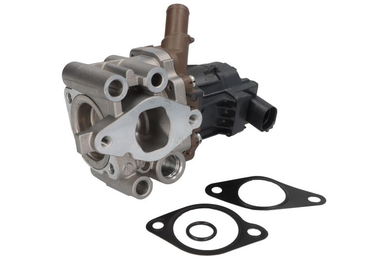 Válvula EGR PIERBURG 7.24809.86.0 para Fiat Ducato