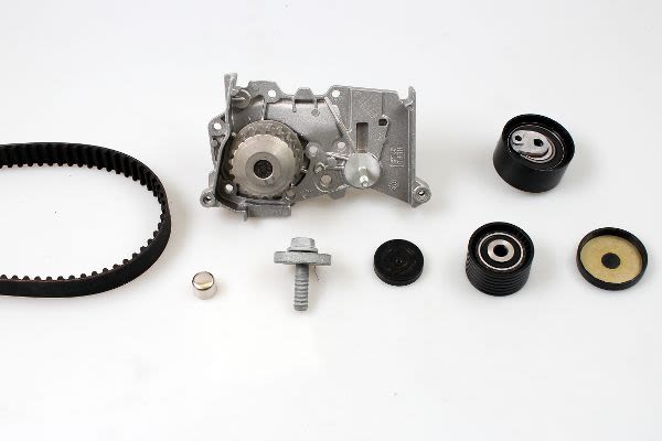 Kit de bomba de agua y correa de distribución HEPU PK08420 para Renault Clio II