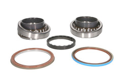 Kit de rodamiento de rueda SKF