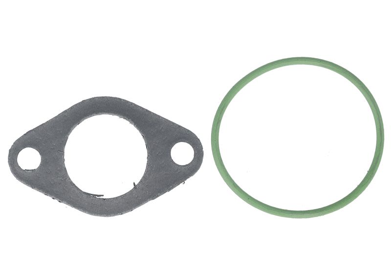 Juego de empaquetaduras de sistema EGR AJUSA 77017300 para Audi A3
