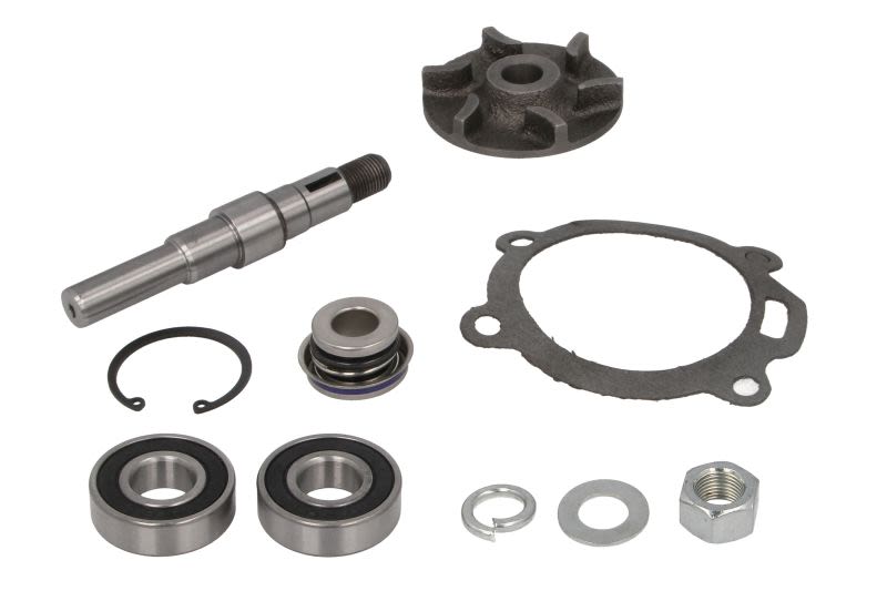 Kit de reparación para bomba de agua THERMOTEC WP-MF119 para Ford 5000