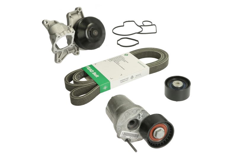 Juego de correa multinervada INA 529 0370 30 para BMW Serie 1 (E81) 2006-2011