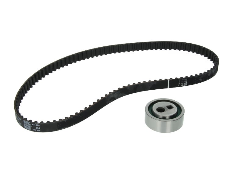 Kit de correa de distribución INA 530 0252 10 para Peugeot 206