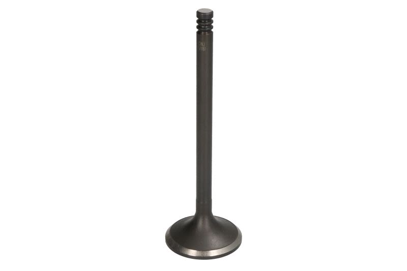 Válvula de escape DNJ EV1160 para Dodge Charge