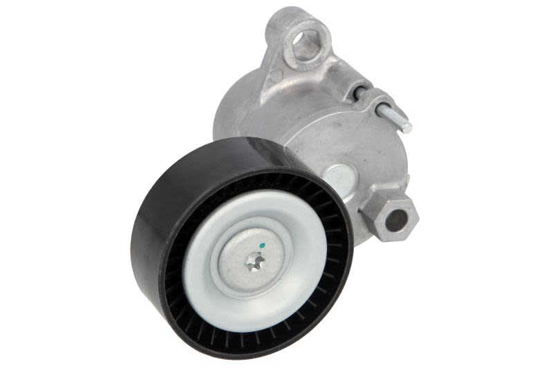 Palanca tensora de correa multicanal BTA E3G0010BTA para Ford Transit Connect V408