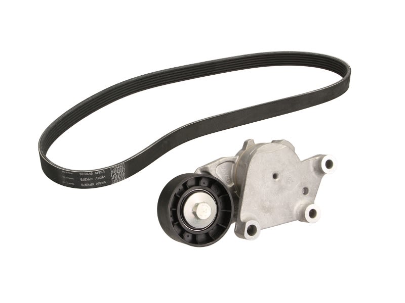 Juego de correa multinervada SKF VKMA 33043 para Citroen C3 I