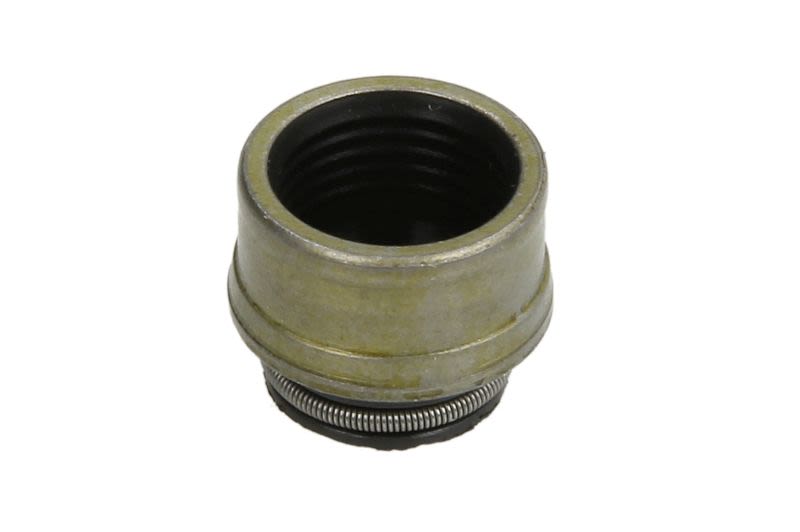 Juego de retenes de vástago de válvula REINZ 70-31306-00 para Mercedes-Benz Clase A (W168) 1997-2004