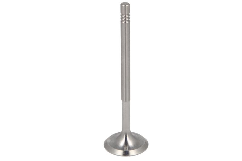 Válvula de admisión FRECCIA R6827/S para Skoda Fabia II