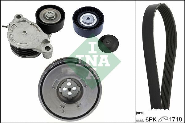 Juego de correa multinervada INA 529 0516 20 para BMW Serie 2 (F45) 2013-2021