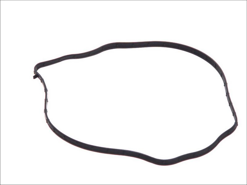 Empaquetadura, tapa de culata LEMA 26271.02 para Peugeot Boxe