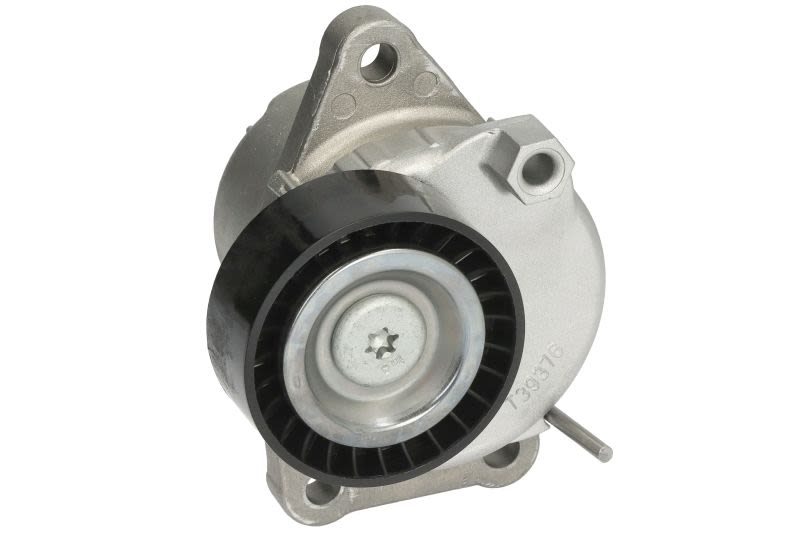 Palanca tensora de correa multicanal DAYCO APV3904 para Citroen C4 II