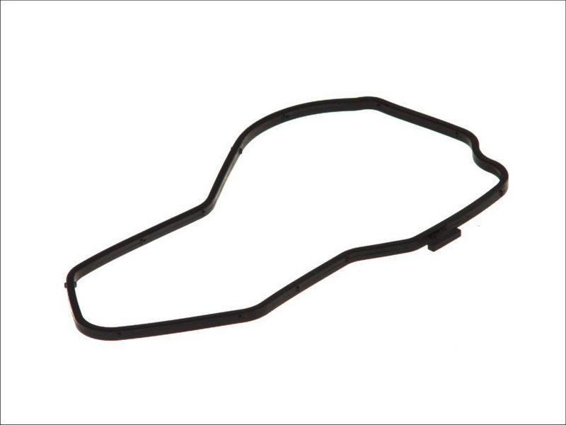 Empaquetadura de bomba de agua DT SPARE PARTS 1.24217 para Scania 4