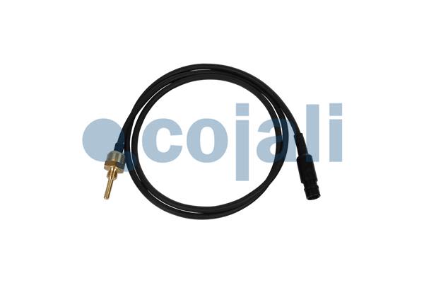 Sensor de temperatura de refrigerante COJALI 2264029 para Scania GR801