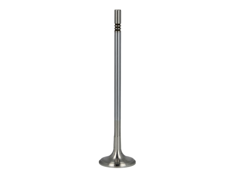 Válvula de escape FRECCIA R6525/BMCR para Opel Corsa D