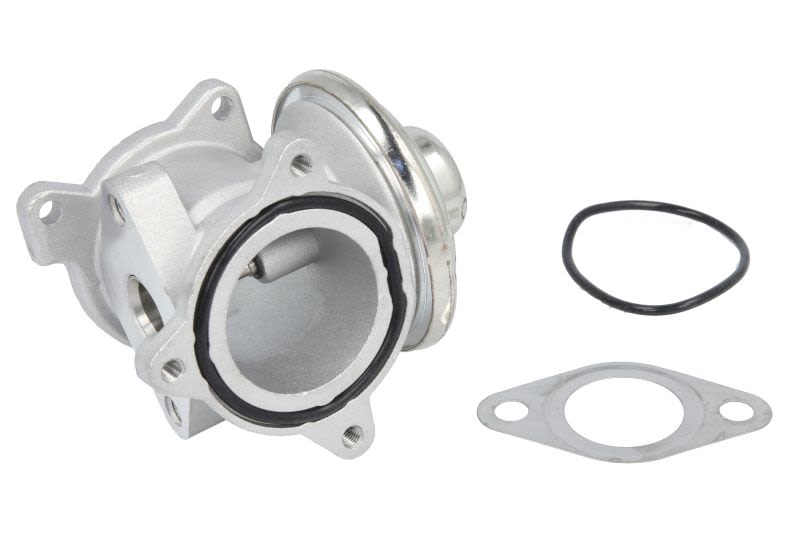 Válvula EGR DELPHI EG10508-12B1 para Volkswagen Polo IV