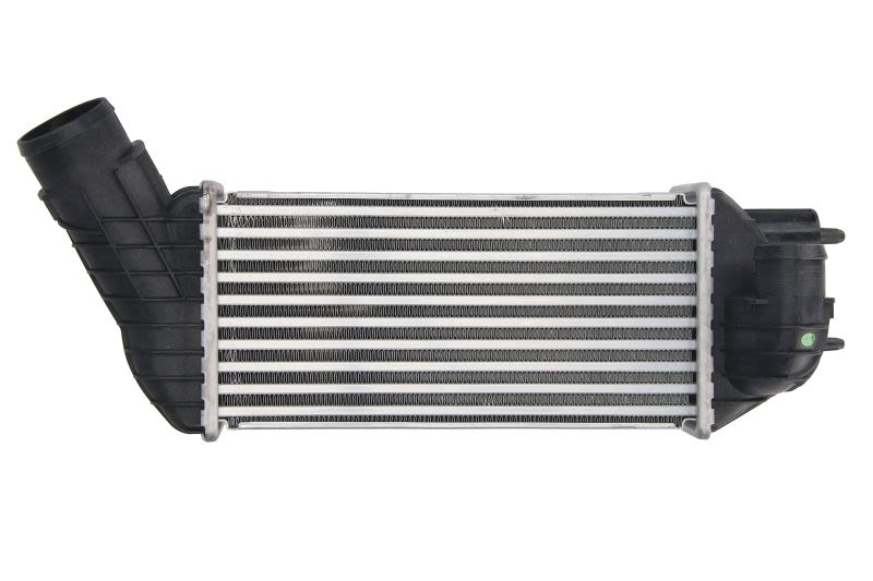 Enfriador de aire de carga (intercooler) THERMOTEC DAC019TT