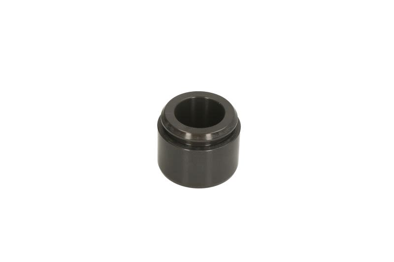 Pistón de cáliper de freno AUTOFREN SEINSA D025616 para BMW Serie 1 (F20) 2011-2019