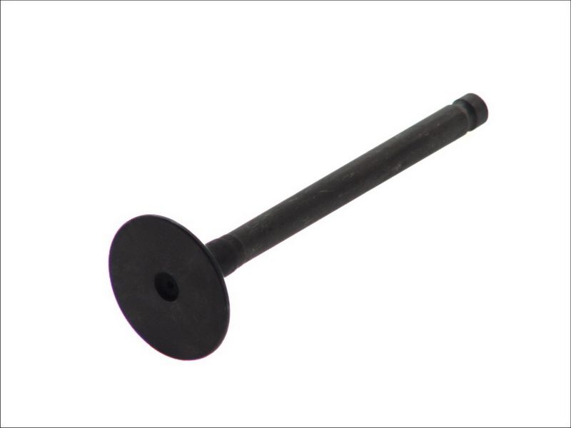Válvula de escape FRECCIA R4983/RNT para Mitsubishi L200