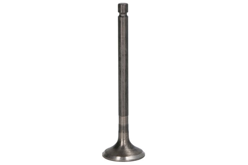 Válvula de escape FRECCIA R6610/RNT para Mazda 3