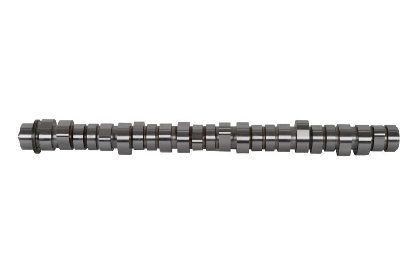 Árbol de levas BF 20100411002 para Volvo FM