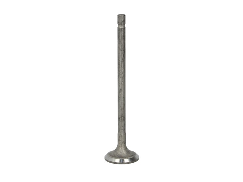 Válvula de escape FRECCIA R6573/RNT para KIA RIO IV