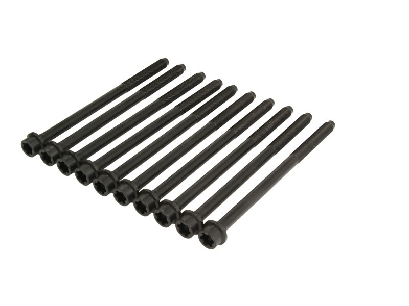 Juego de pernos de culata REINZ 14-32363-01 para Fiat 500X